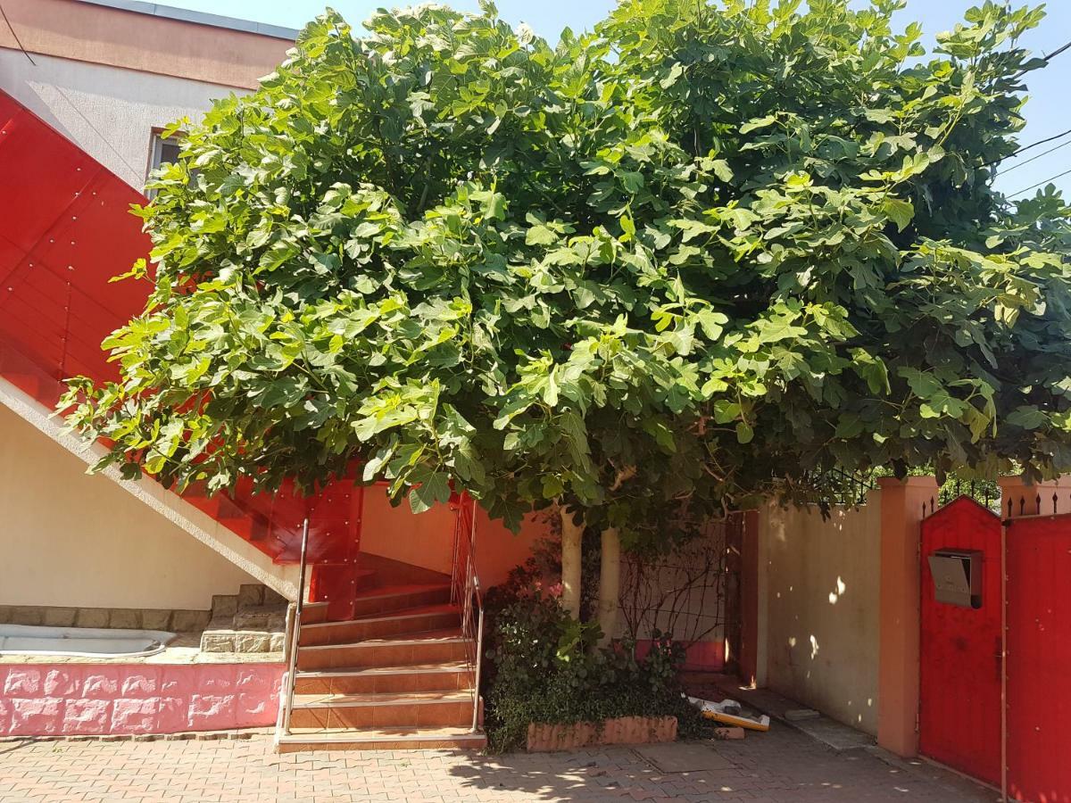 Pensiunea Victoria Mangalia Exteriér fotografie